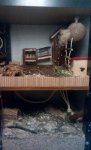 IMG_20160711_183205.jpg