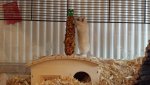 20160701_140818.jpg