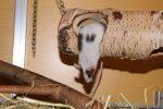 DSC_0443.jpg