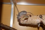 DSC_0496.jpg