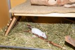 DSC_0574.jpg