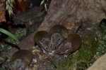DSC_0192.jpg