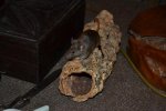 DSC_0186.jpg