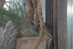 DSC_0667.jpg