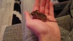 IMG_20160817_191215.jpg