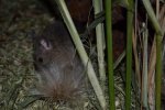 DSC_0022.jpg