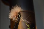 DSC_0173.jpg