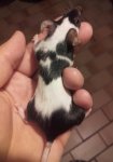 IMG-20160806-WA0006.jpg
