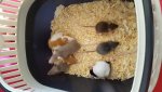 20160830_152307.jpg