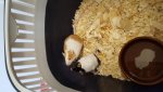 20160831_100409.jpg