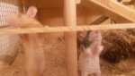 20160820_225853.jpg