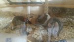 20160903_135505.jpg