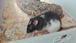 IMG_20161017_123418.jpg