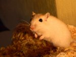 DSCN4476.jpg