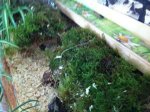 IMG_0016.jpg