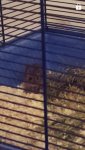 Screenshot_20161111-234851.jpg