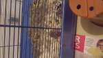 20161112_213639.jpg