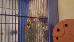 20161112_213016.jpg