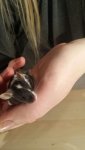 IMG-20161110-WA0000.jpg