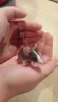 IMG-20161110-WA0007.jpg