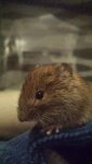 IMG-20161231-WA004.jpg