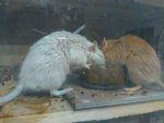 IMG_20170119_200243.jpg