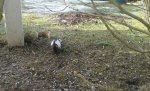 IMG-20170128-WA000.jpg