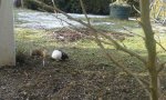 IMG-20170128-WA003.jpg