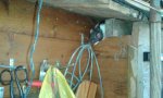 IMG-20170128-WA004.jpg