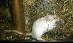 IMG_20170217_172833.jpg