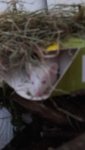 20170217_140558.jpg