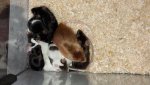 20170220_133058.jpg