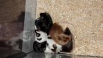 20170220_133027.jpg