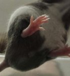 20170227_221225-1.jpg