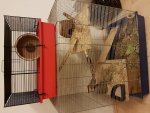 20170227_195110.jpg