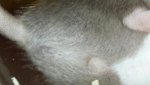 20170228_071217.jpg