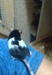 IMG_20170312_014823.jpg