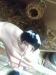 IMG_20170312_002229.jpg