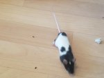 20160624_182836.jpg