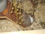 DSCN0776.jpg