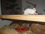 DSCN0783.jpg
