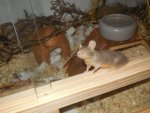 DSCN0787.jpg