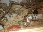 DSCN0788.jpg