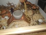 DSCN0806.jpg