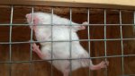 IMG-20170322-WA0039.jpg