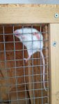 IMG-20170322-WA0021.jpg