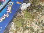 DSCN0815.jpg