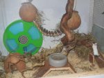 DSCN0817.jpg
