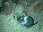 2017-03-31 13.46.30_Max & Leo.jpg