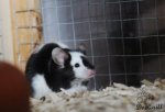IMG_3476.jpg